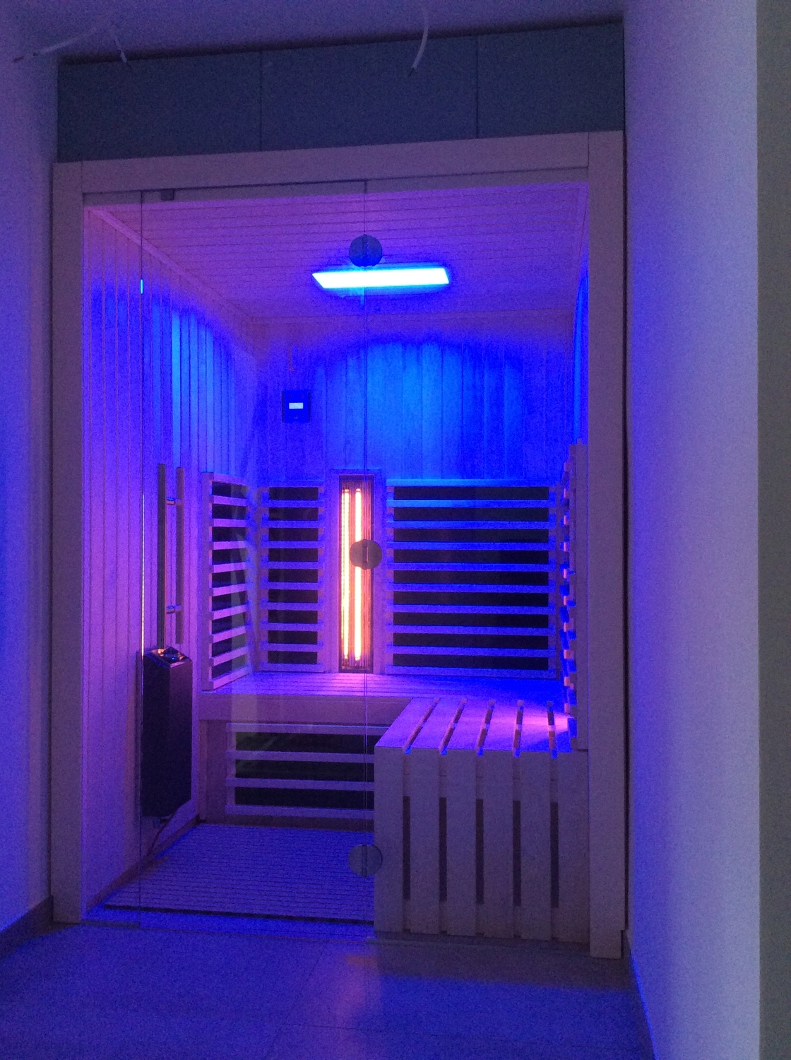 Sauna Stegmann - Wellness & More - Moderne Sauna mit Holzinterieur und Glastür.